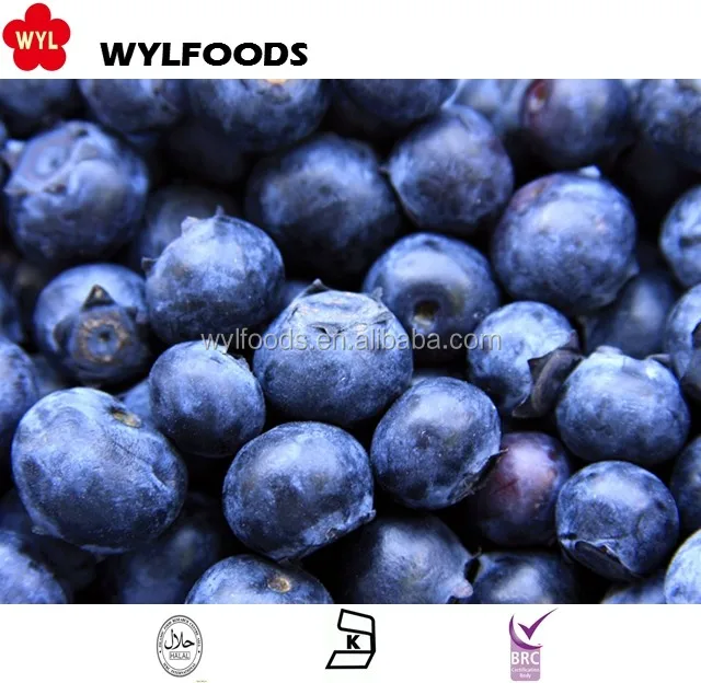 Competitive Frozen Blueberry Prices Premium Organic Frozen Wild Blueberries for Bulk Buyers