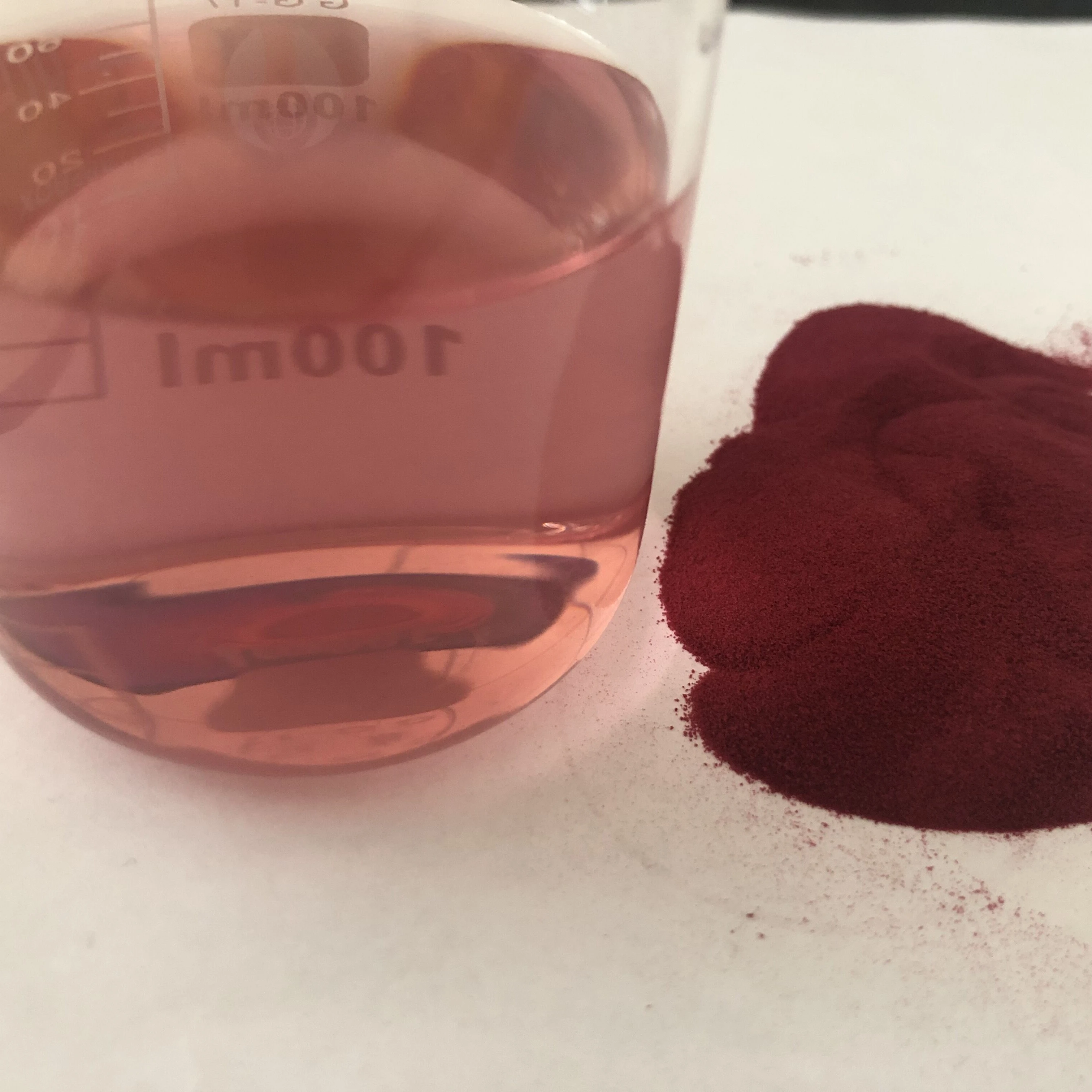 
100% Natural product Elderberry powder black Elderberry Extract Powder free sample 