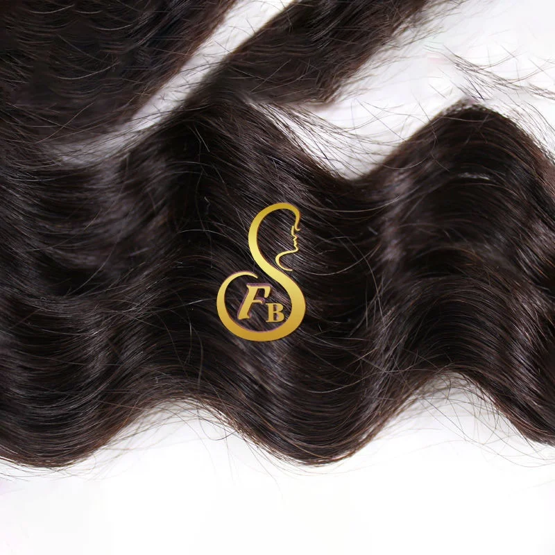FBS 12A High Quality Silky Indian Virgin Hair Unprocessed Raw Cuticle Aligned 100% Human in Loose Wave Bundle