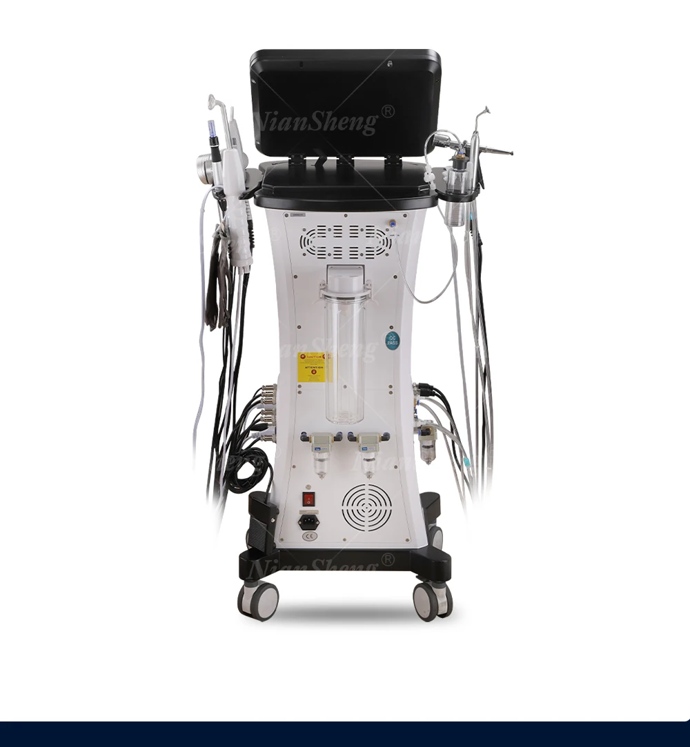 Niansheng  15 in 1 New design  popular salon skincare  dermabrasion Multi-Functional Beauty hydro microdermabrasion machine