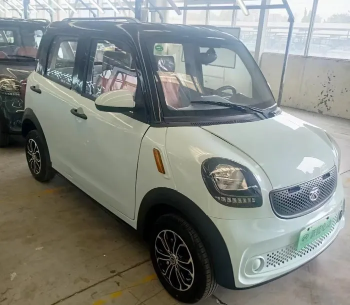 China 4 Seats Electric Scooter With Air Condition Electric car mini