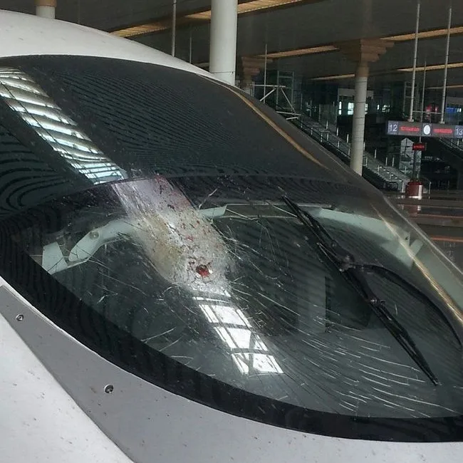 High quality toughened safety bulletproof glass car bank display windows door wall panels vidrio