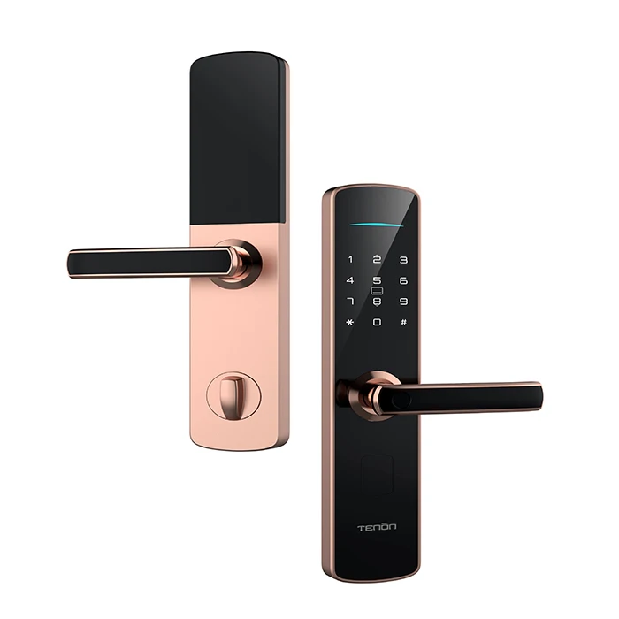 Tenon E3c Keyless Intelligent Biometric Fingerprint Door Lock Digital Lock