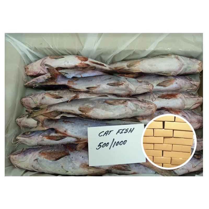 Cat Fish Export Smoke Catfish Oman Origin