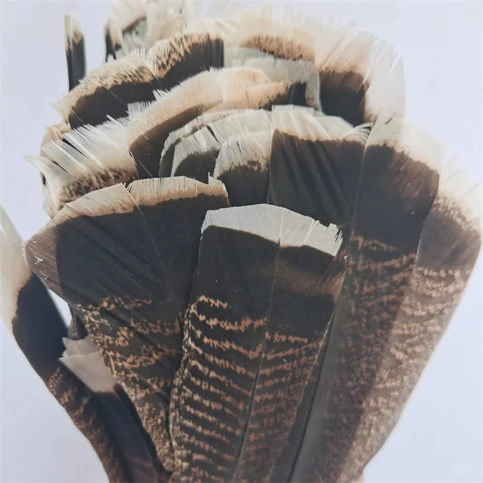 Wild Turkey Tails  Barred Turkey Wing Feathers Decorative Feathers for Hats