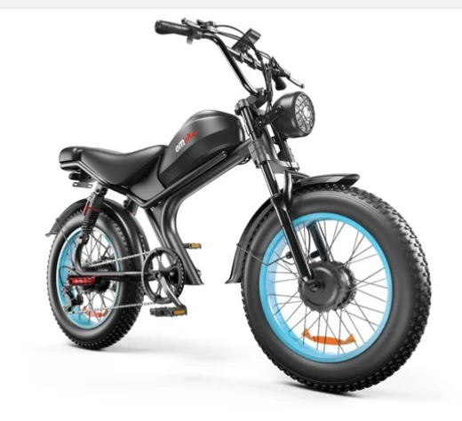 Dual Motors Fat Tire Off-Road Electric Bike 48V C93 1000*2 23ah Battery 7 Speed Customized Logo OEM 1000*2 E-Bike for Eu USA