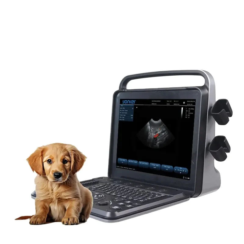 portable diagnostic sensor digital instrument ultrasound for veterinarian ultrasound machine