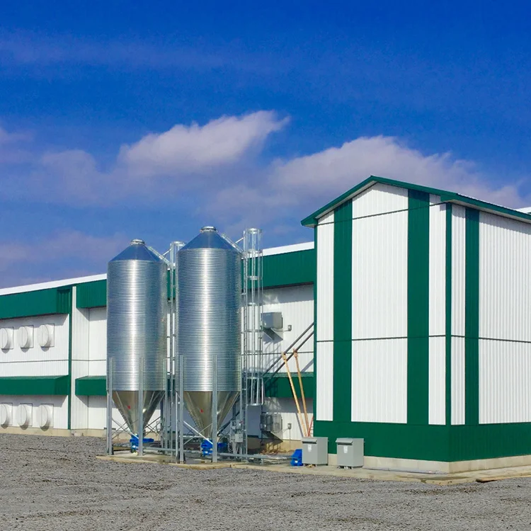 H Beam Steel Structure Poultry Farm Building Shed Chicken House In Pakistan