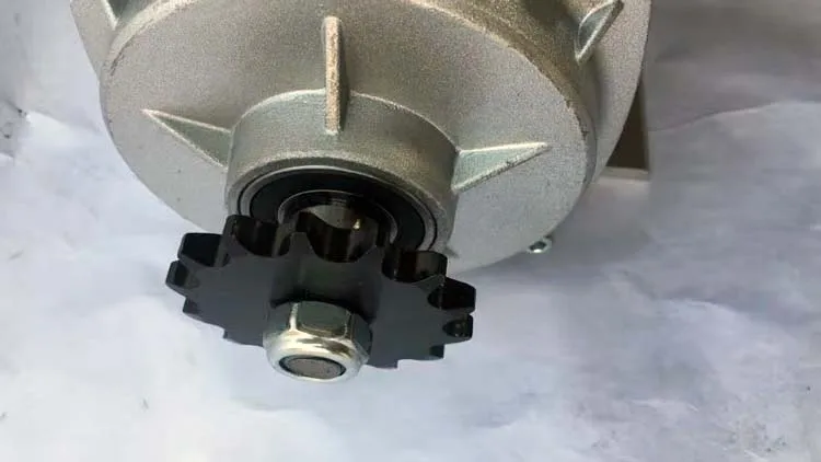 48V 60V 800w1000w chain drive electric tricycle motor brushless dc motor