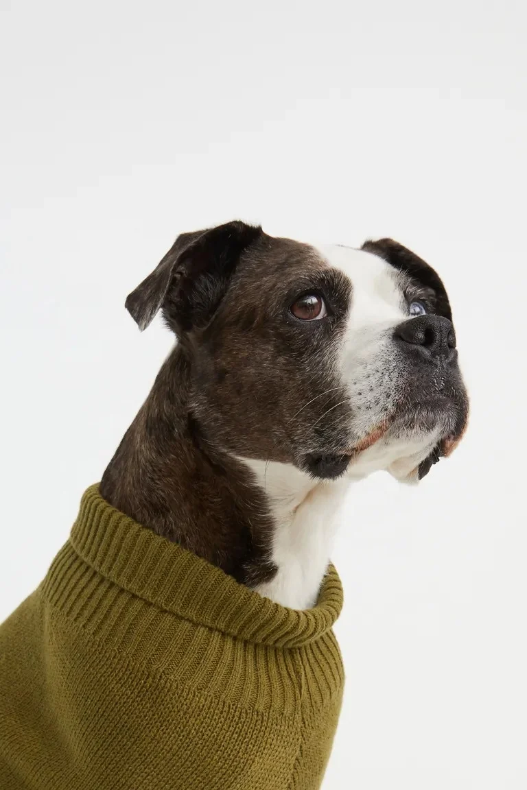 Custom knitted dog sweater pet clothes designer dog clothing pet clothes sweater designer clothing for dogs