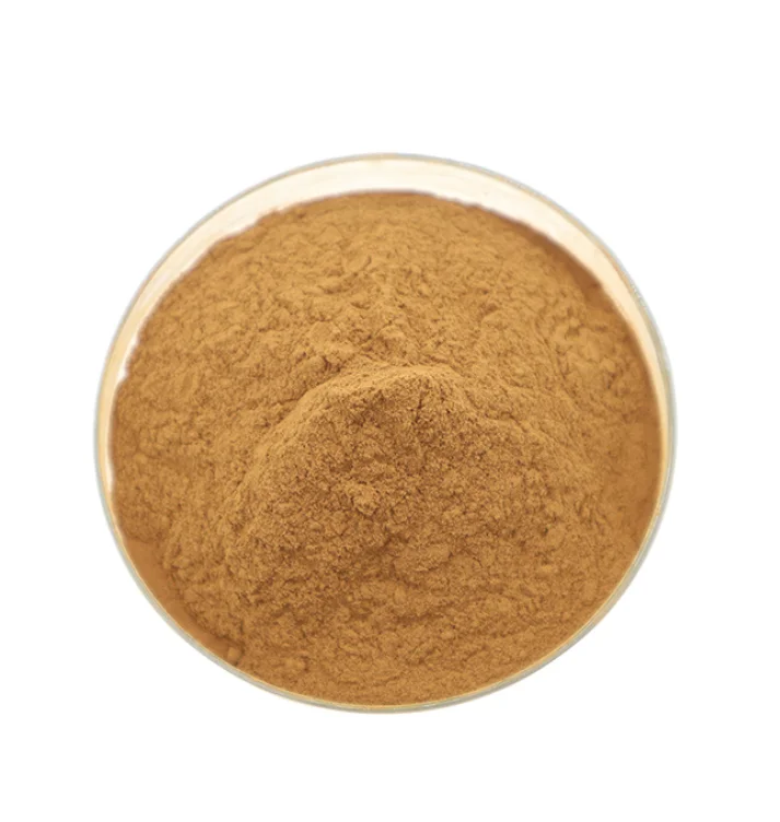 Factory Directly  Provide Lotus Seed Powder / Natural Lotus Seed Extract  Brown Powder with Good Price
