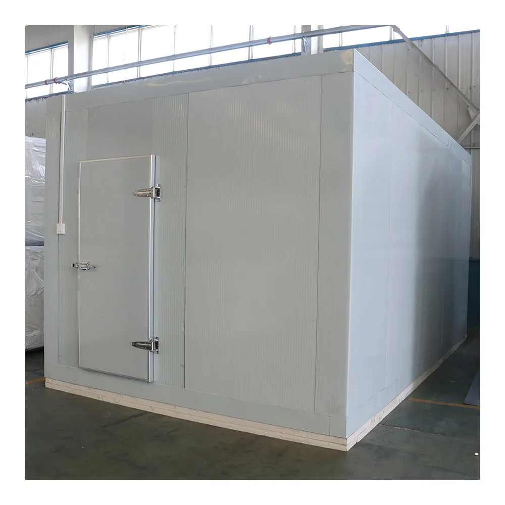 China Commercial Cold Room Frozen Chicken Egypt Ice Cream Storage Cold Room Frozen Chicken industrial compressors