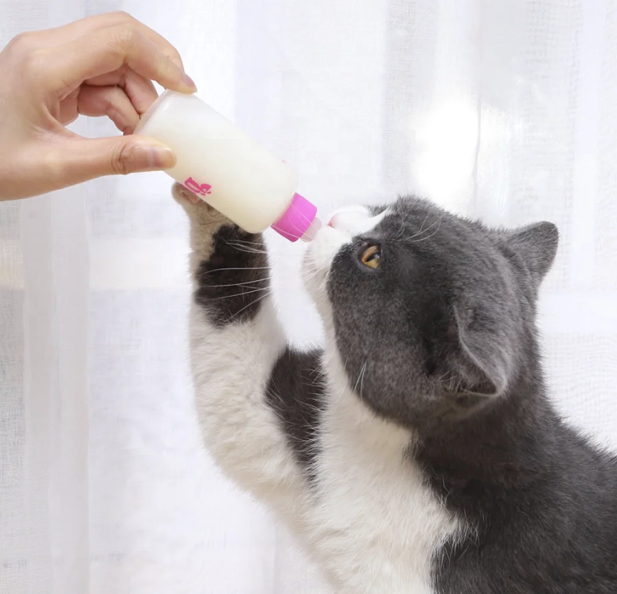  Зоотоваров Pet Удобная молока подачи бутылочки Кошка Собака Щенок бутылочка для кормления домашних животных ниппель 60 мл комплект из 7
