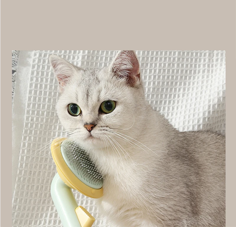 Factory Wholesale High Quality  Massage Pin Self Cleaning Pumpkin Pet Cat Dog Brush Comb