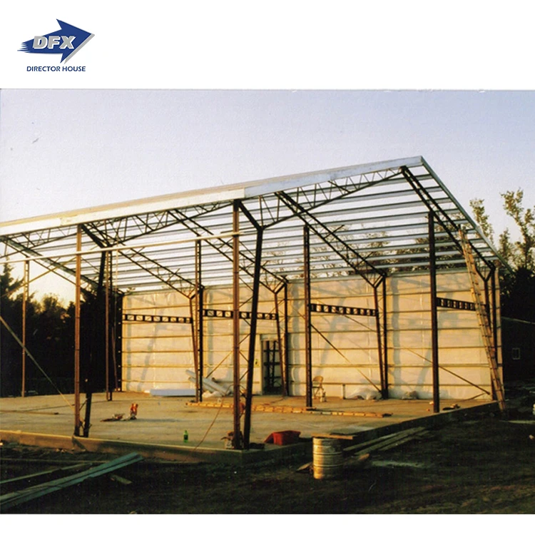 Steel Frame Truss Roof Warehouse Shed Steel Structure Storage Building Construction