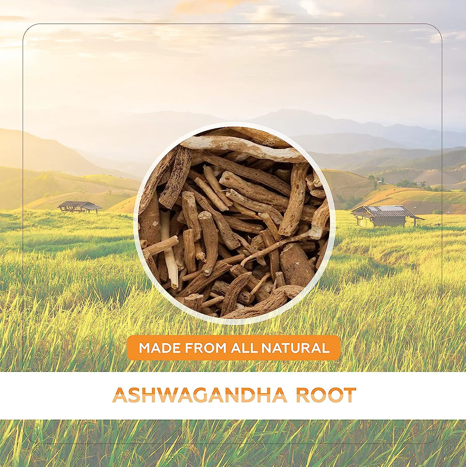 Wholesale Organic Ashwagandha Ksm 66 Root Extract Liquid Ashwagandha Cognitive Function And Focus Booster Liquid Drops