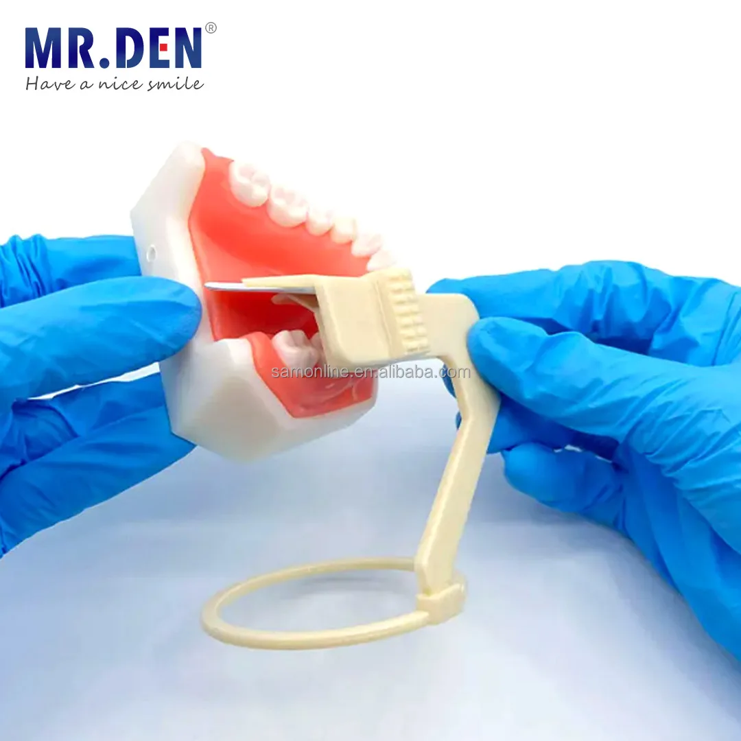 MRDEN High Quality Low Price 3 pcs/set X Ray Film Poly Locator /Positioner Digital X-Ray Film for Dental Consumables