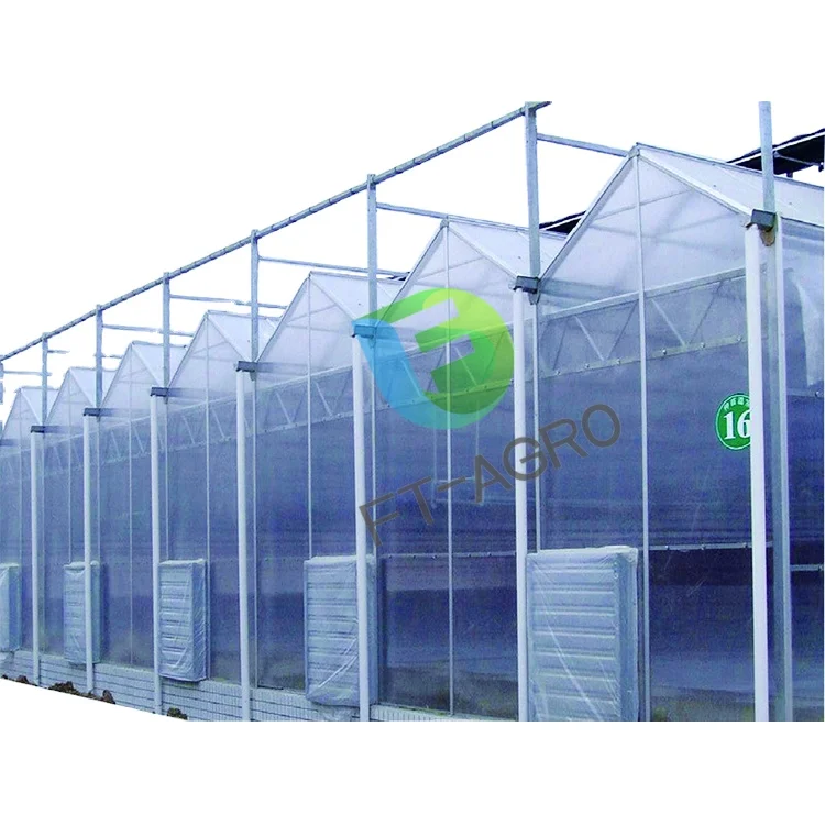 Multi Span Pc Sheet Greenhouse With Aquaponics Growing Systems