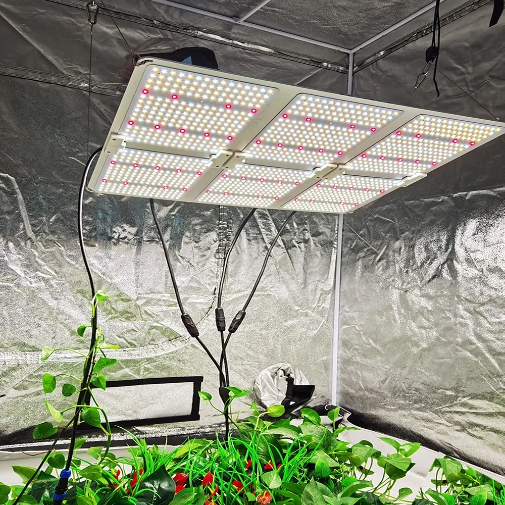 Full spectrum 450w 600w led grow light hydroponic indoor quantum led grow light plant lamp