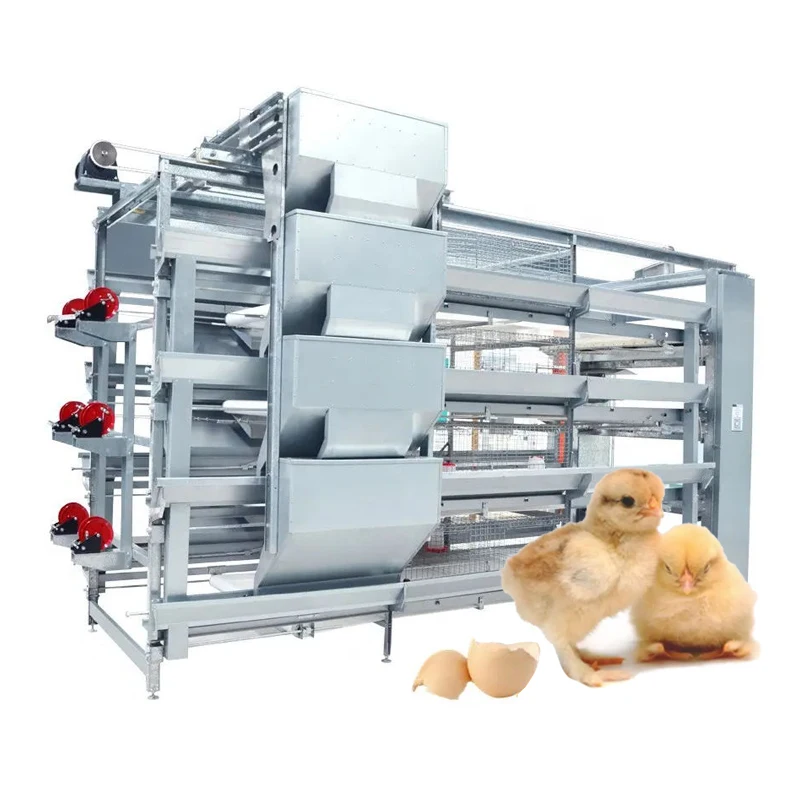 Full Automatic Poultry Farming Chicken Feeder Line H Type 3 - 8 Tier  Laying Hen Battery  Chicken Cage for 15000 Chicken