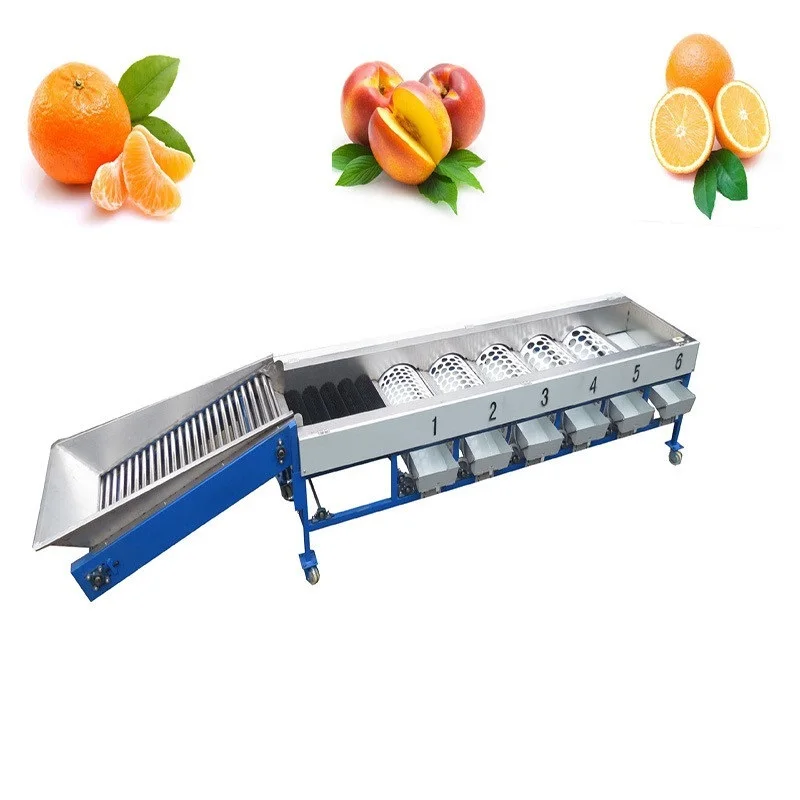 Citrus fruit sorting machine Fruit grading machine Drum type grading machinery