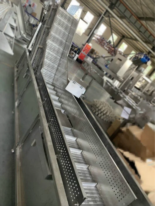 Hot sale fish vegetable washing machine chicken drumsticks cleaning machine for sale