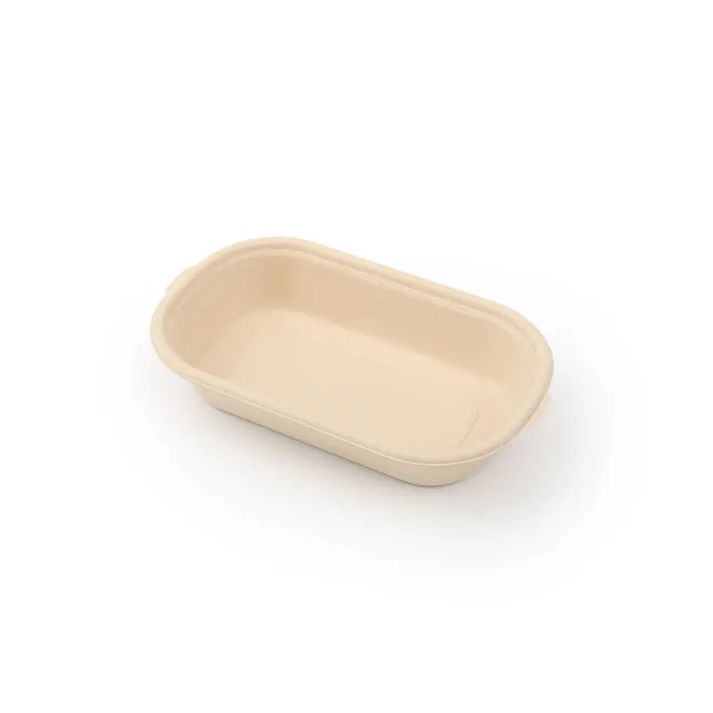 Biodegradable Bamboo Food Tray Disposable Takeaway Lunch Box with Compostable Lid for Parties and Food Containment