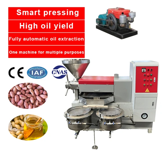 150-260kg/h Professional Palm Nut Almond Soya Bean Oil Press Machine Plant Industrial Oil Press Machine On Sale