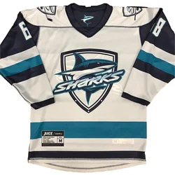 2023 Reversible Men Custom Sublimated Blank Cheap Team Stitched And Embroidered Ice Hockey Jersey