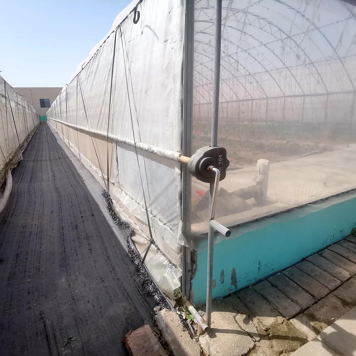 
Singel serre tunnel Agricultural Greenhouses Commercial Greenhouse Cost cheap hemp greenhouse 