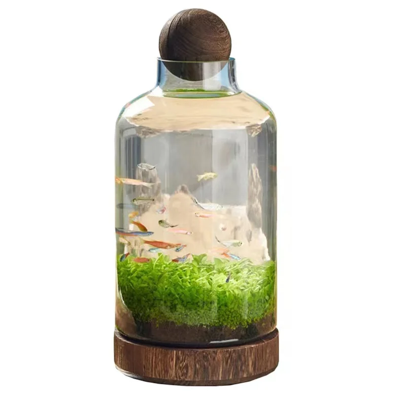 Terrarium Jars Wholesale Glass Material Clear Geometric Indoor Plant Glass Terrarium Bottle Biodome Rainfore Terrarium Jar
