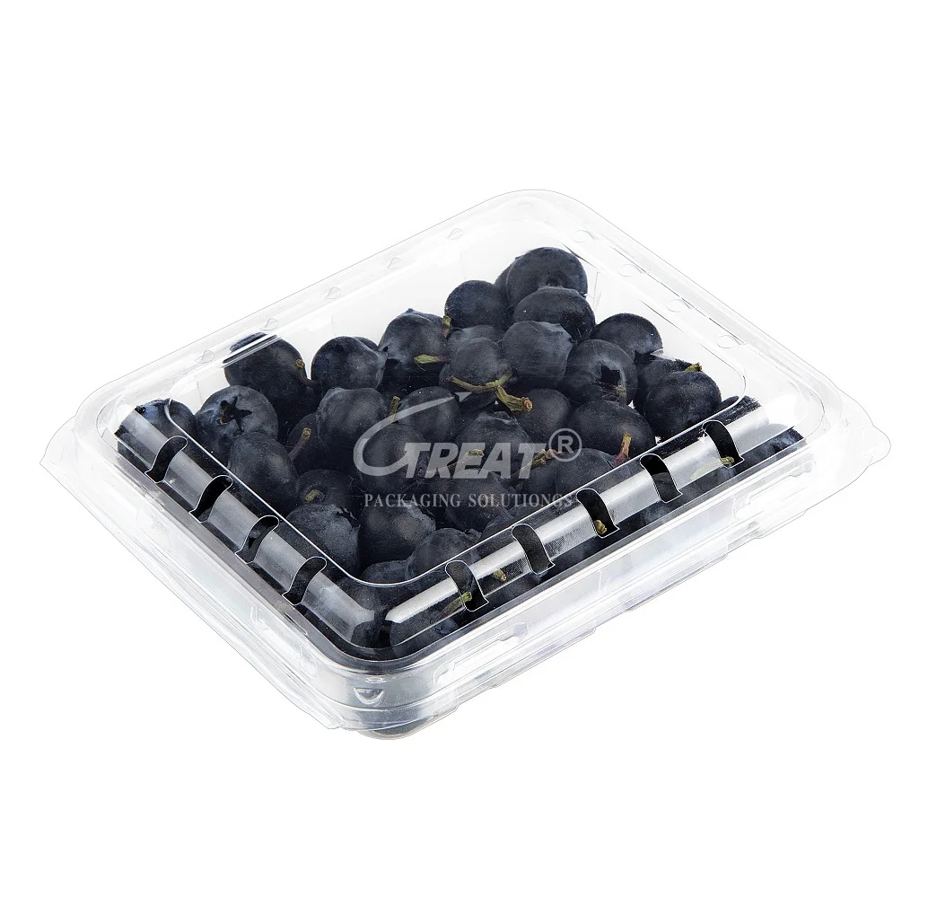 175 Gram  Food Grade Recyclable PET Plastic Punnets Blueberry Fruit Clamshell Container