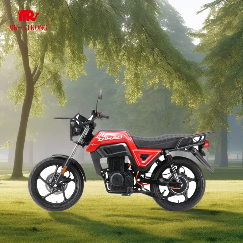 2024 Emgrand Electric Sportbike Motorcycle 72V Power Max Speed 80km/h for Adults