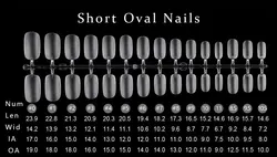 VV MEI JIA ER 240 Pieces Frosting Traceless Artificial Fingernails Coffin Square Stiletto Round Nails Salon