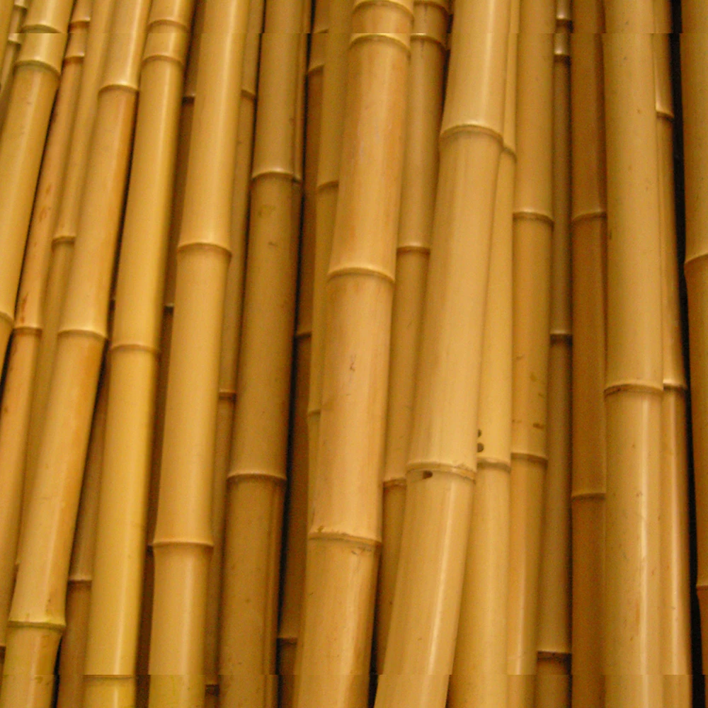 Straight strong outdoor natural building material bamboo poles