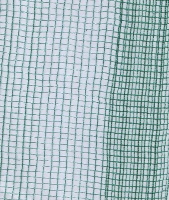 wholesale olive tree collect harvest net