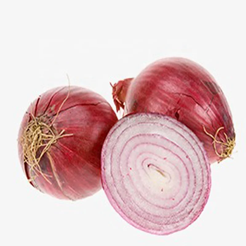 China Fresh Onion Supplier Red Onion