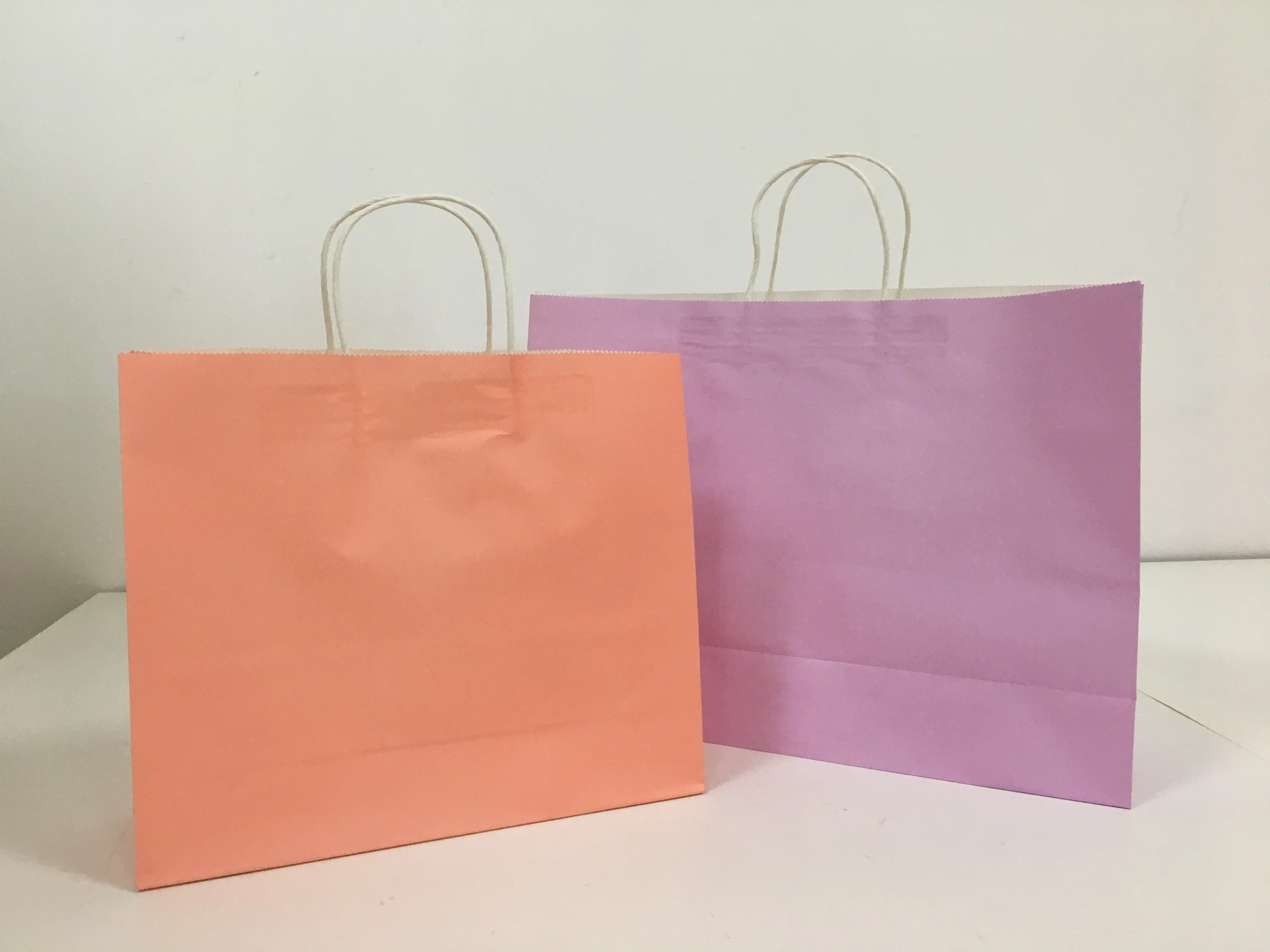 Factory Full color printed White And Brown Kraft Paper Twisted Handle Shopping Carrier Bag With Logo Printed