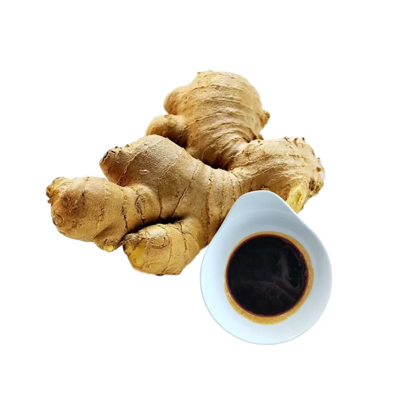 No Additives Natural  Ginger extract powder ginger oil ginger oleoresin
