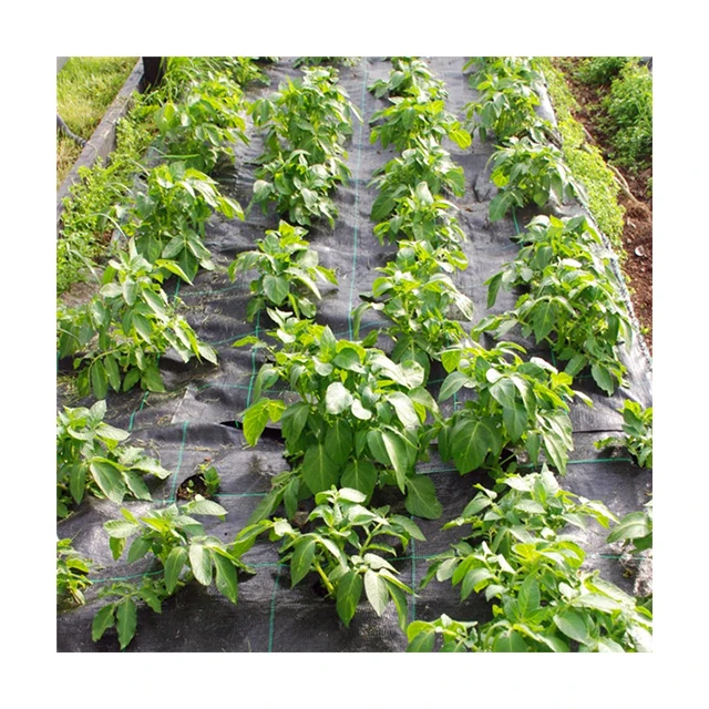 cheap weed control fabric plastic mulch layer mulching plastic agricultural weed mat ground cover Weed Barrier Fabric