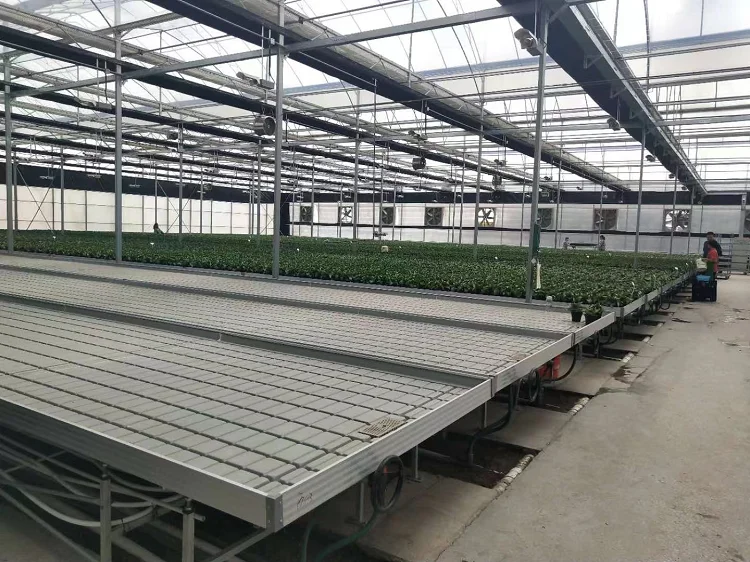 Пластиковый стол для выращивания растений в теплице 3x6 4x6 4x8 4x24 ABS PS пластиковый гидропонный оптом