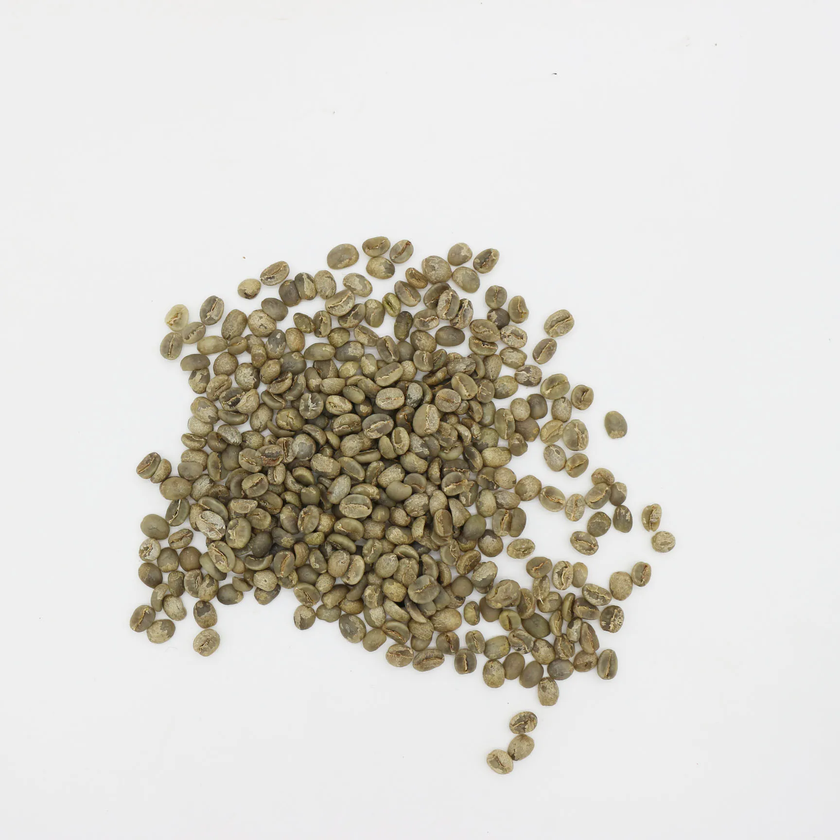 
Bulk Arabica Green Coffee Beans 