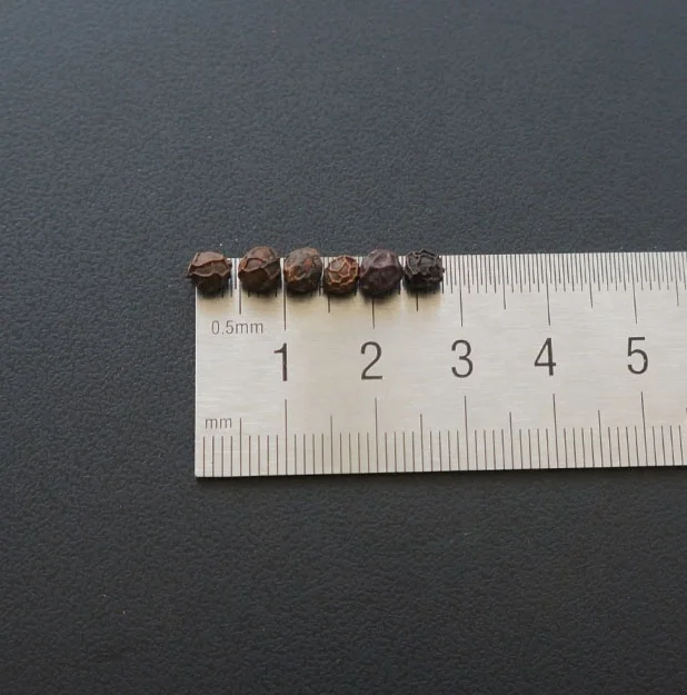 
China Black Pepper with High Quality 