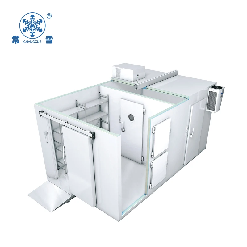 freezer chiller and ice cube and ice block storage cold room