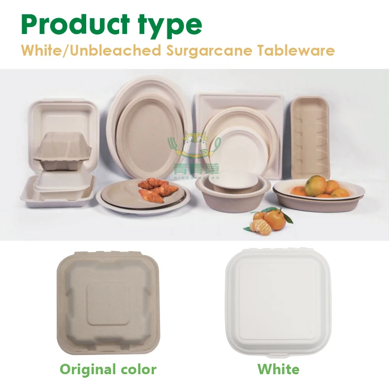 one time use sugarcane bagasse container molded paper pulp box degradable tableware made in China