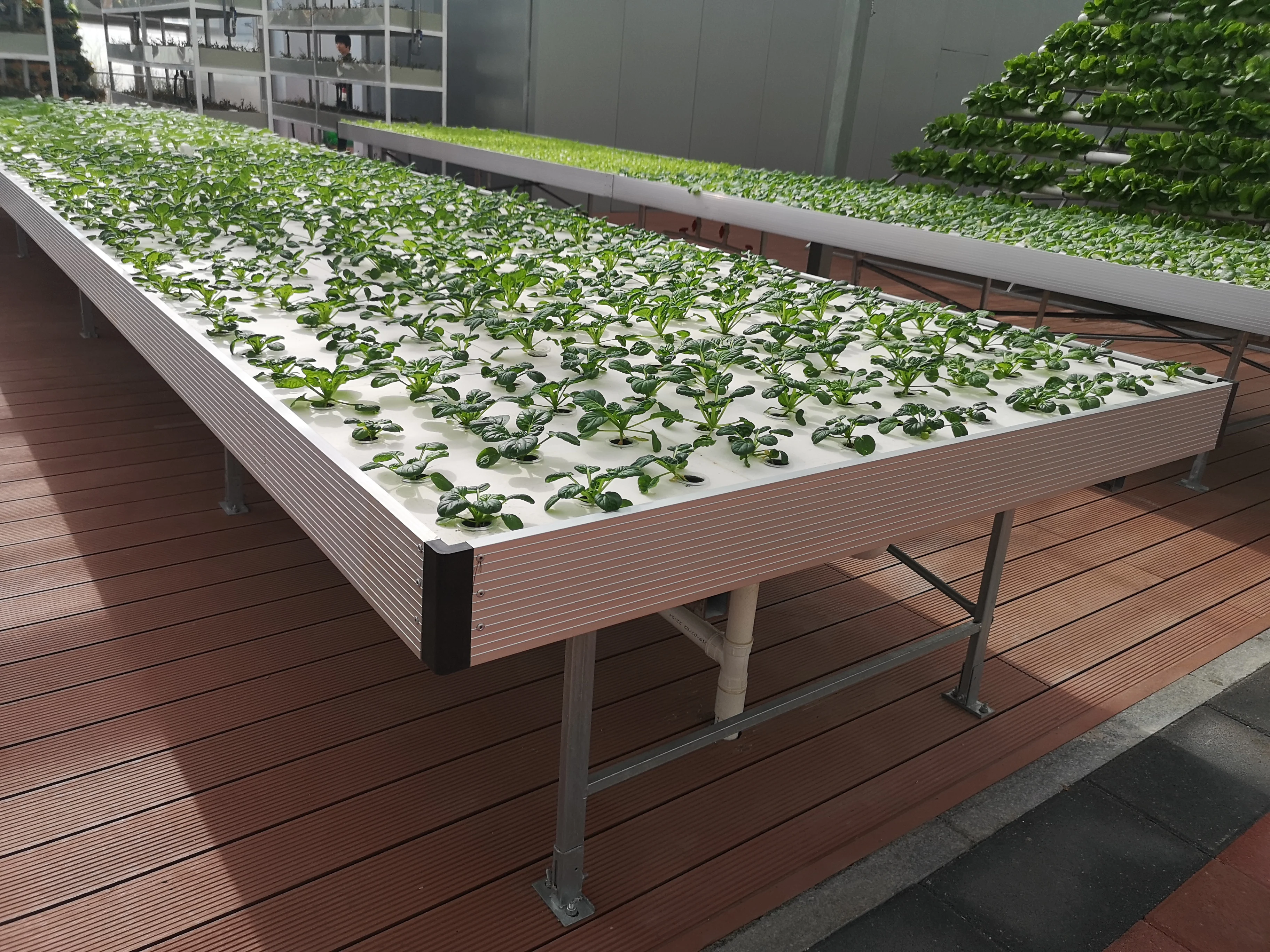 Agriculture Greenhouse Movable Rolling Bench Ebb and Flow Flood Tray Rolling Benches and Table 4X8 FT