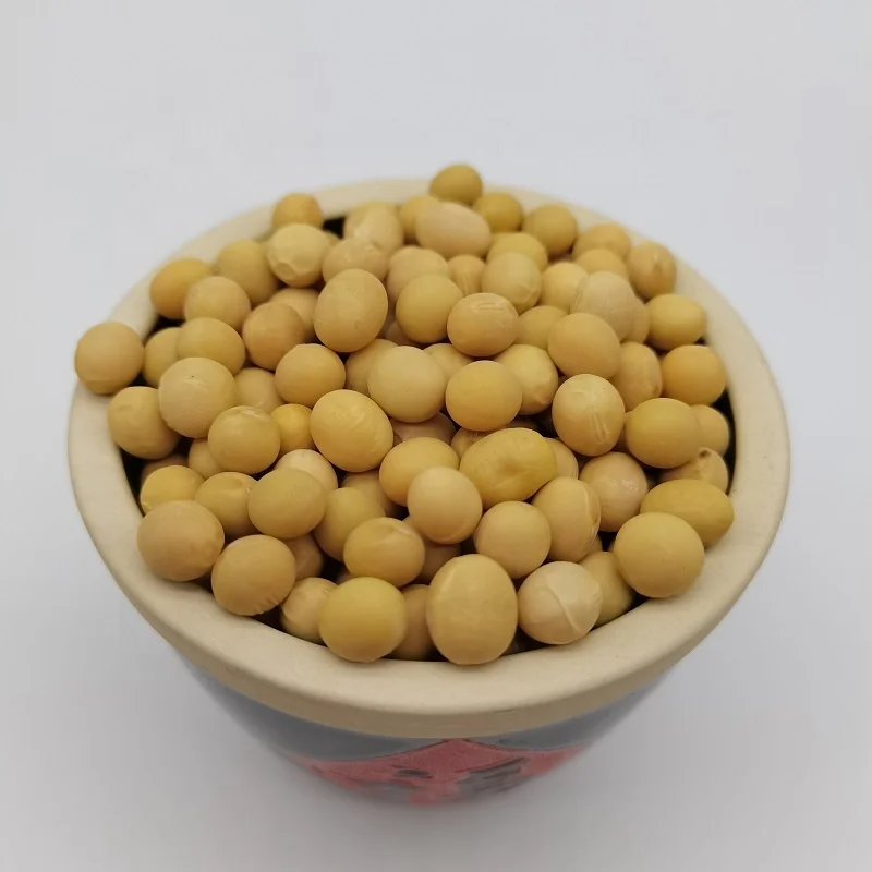 Высококачественные натуральные и без ГМО желтые соевые семена/соевые бобы оптом по низкой цене