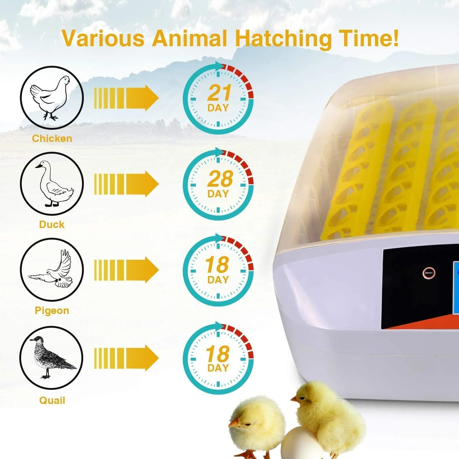Family Used Full Automatic Brooder Mini 56 Eggs Incubator For Chicken Quail Duck and Birds