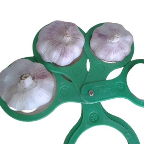 Garlic Fresh Normal White Garlic High Quality Chinese Garlic Export