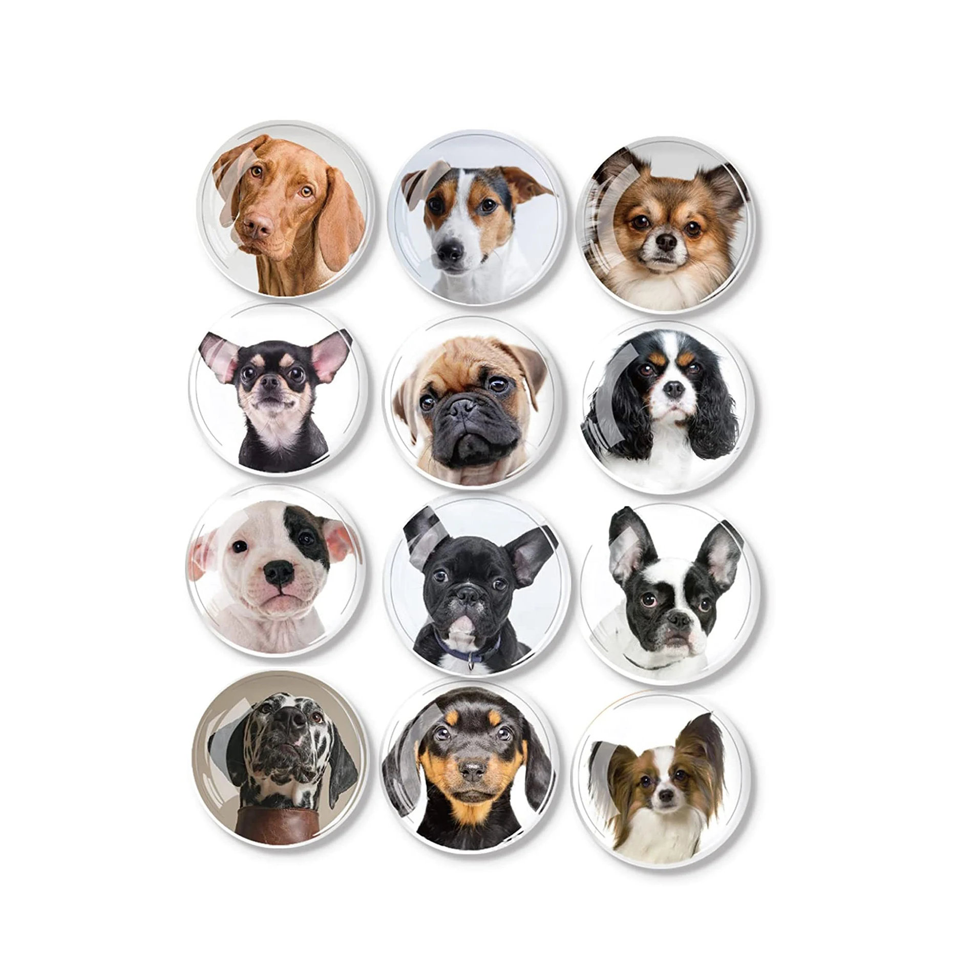 Dog Image Printed Crystal Glass Fridge Magnets for Home Decoration School Whiteboard Memory